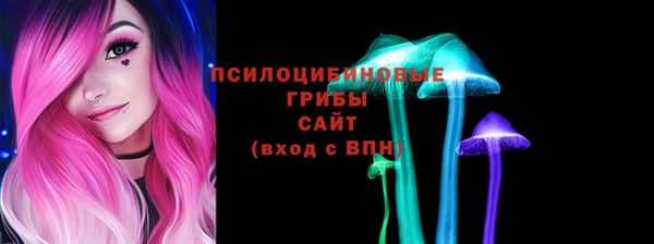 ешки Магас