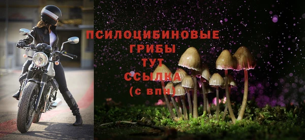 хмурый Одинцово