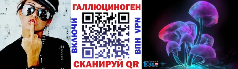 наркота  Каргополь  Галлюциногенные грибы Cubensis 